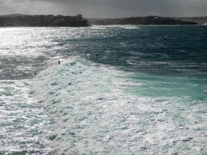 Manly - Fairy Bower - Surf