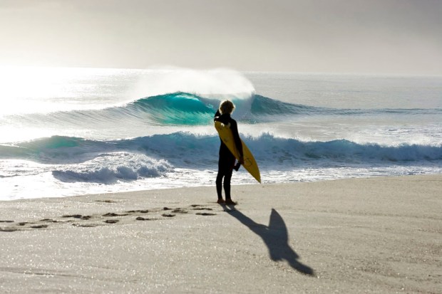 pic by sean davey - surf heaven