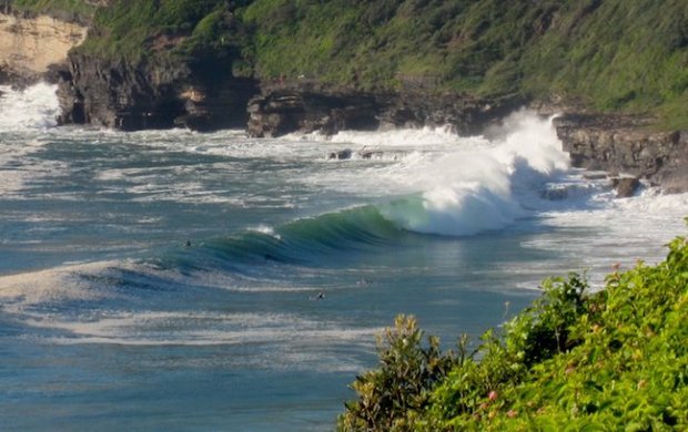 warriewood by bukit bear