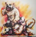 fighting dogs by jo keeley